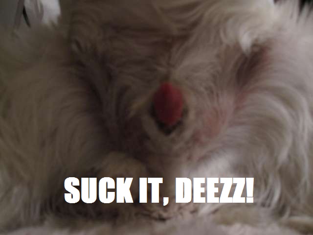 DeezzLove.jpg